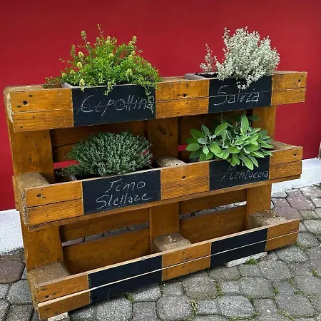 Paradiso * Isola d'Asti