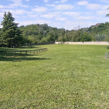 Paradiso * Isola d'Asti