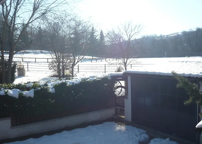 Paradiso * Isola d'Asti