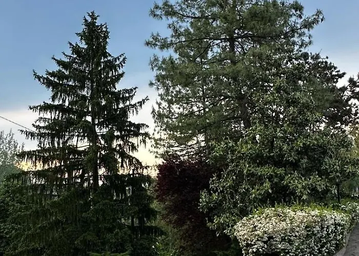 Paradiso Isola d'Asti