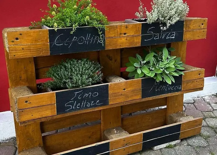 Paradiso * Isola d'Asti