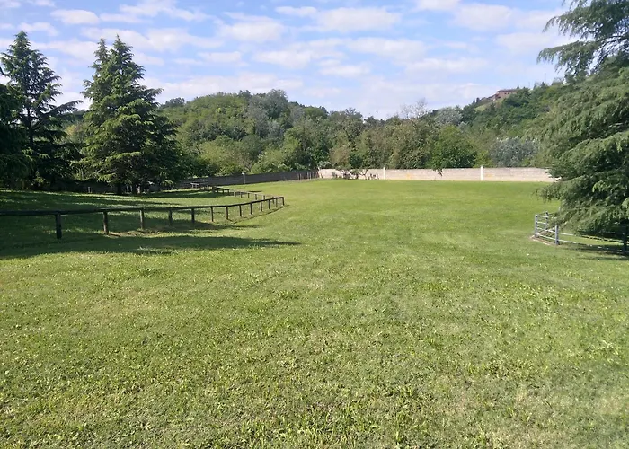 Paradiso * Isola d'Asti